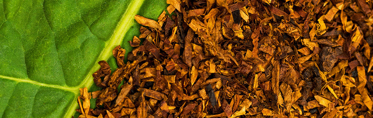 tobacco leaf processing